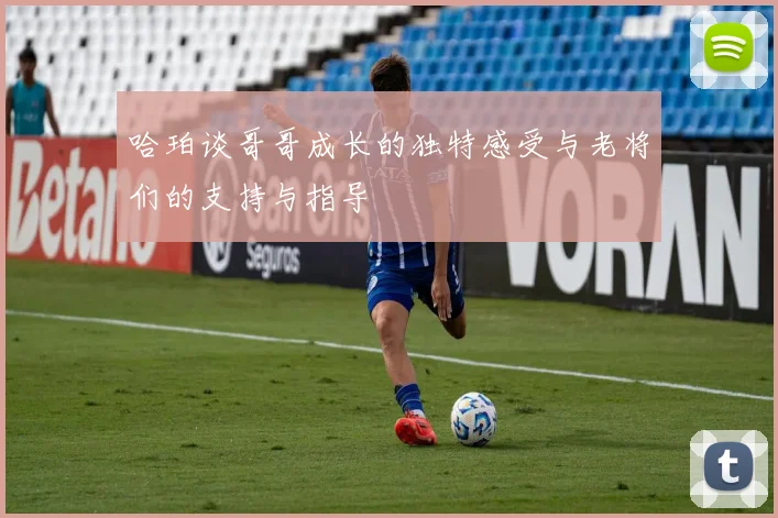哈珀谈哥哥成长的独特感受与老将们的支持与指导